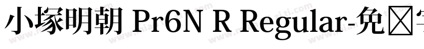 小塚明朝 Pr6N R Regular字体转换
